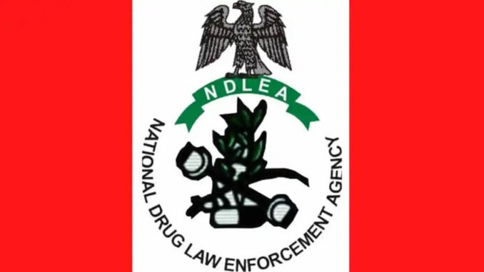 NDLEA Online Assessment Test Login Portal