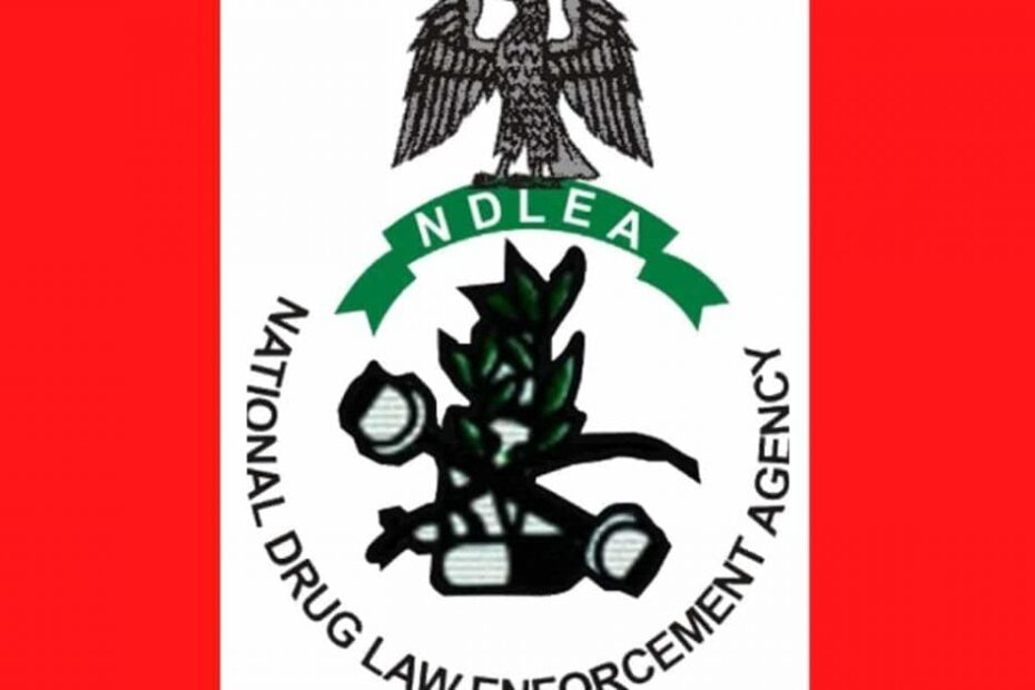 NDLEA Recruitment