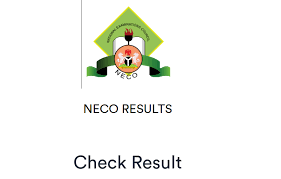 How To Check Your NECO 2025 Result Online And Via SMS