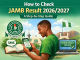 Step By Step To Check JAMB Result Online